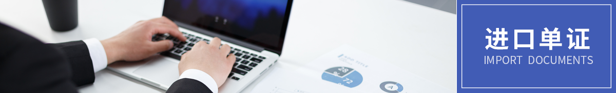 进口单证
