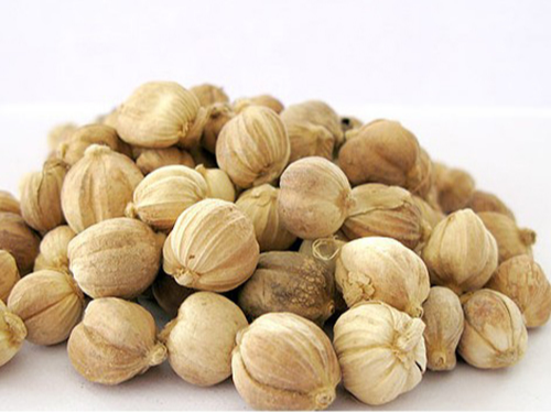 河北进口豆蔻药材报关报检案例分享