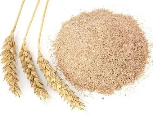 俄罗斯麦麸天津口岸进口全流程