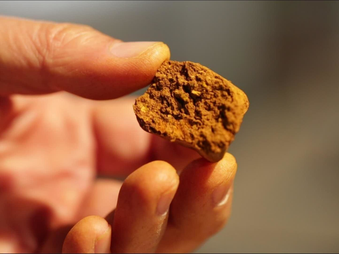 阿根廷牛黄进口清关全流程