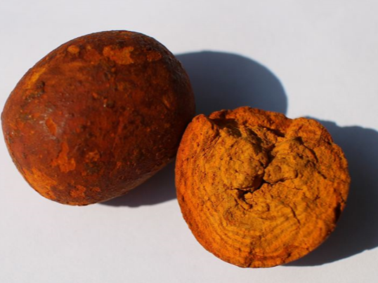 乌拉圭牛黄进口清关全流程