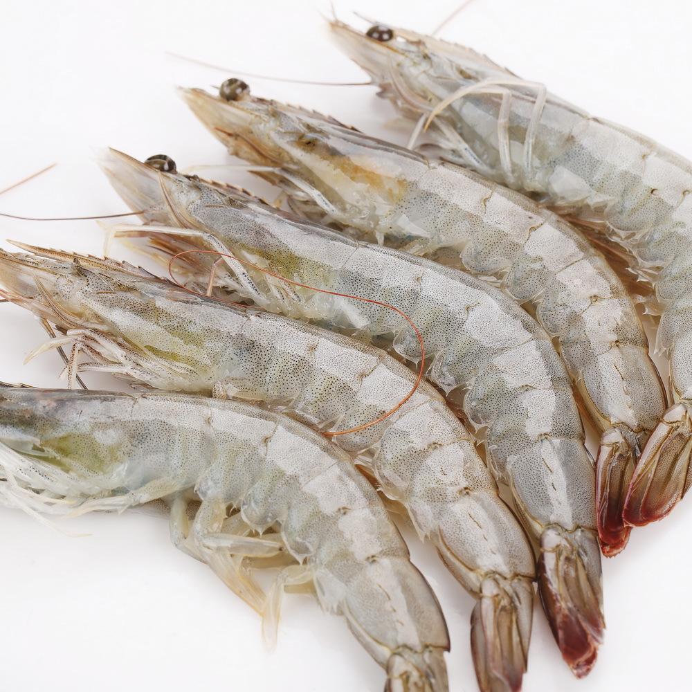 天津口岸进口冷冻南美对虾案例分享