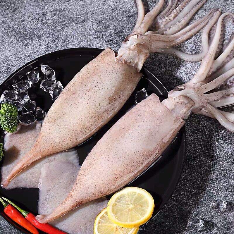 天津口岸进口冻鱿鱼合规清关报关指引